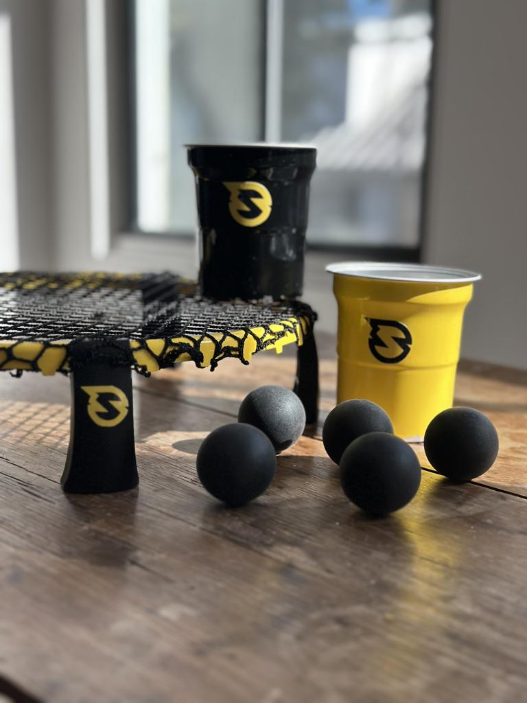 SWR Spikeball SpikePong